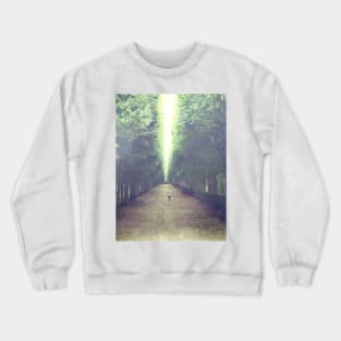 The Height of Trees Crewneck Sweatshirt